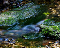 Trinity River Stream