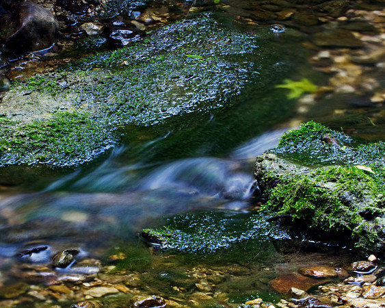 Trinity River Stream