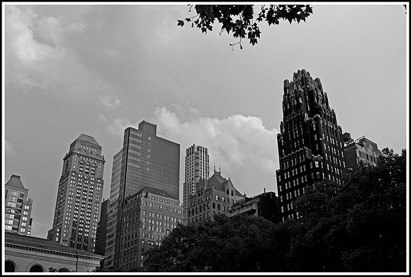 View From Central Park