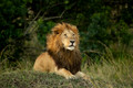Masai Mara 2018