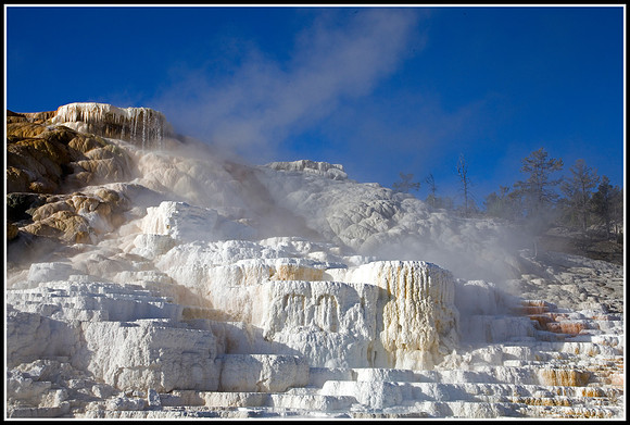Mammoth Hot Springs