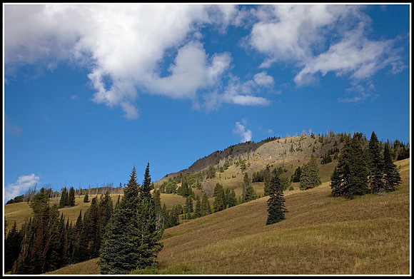 Mommoth Hot Springs Area