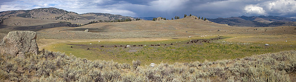 Lamar Valley Panorama