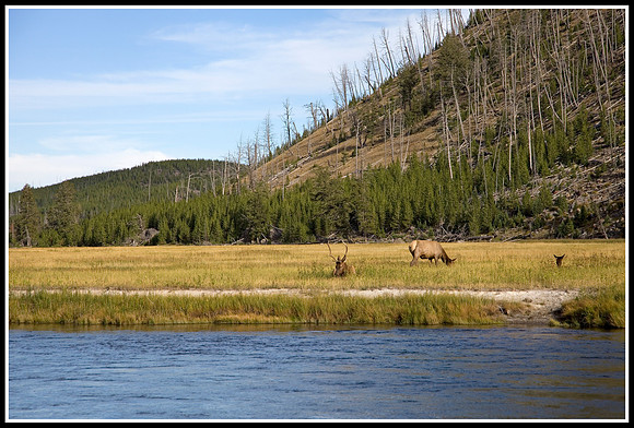 Madison River