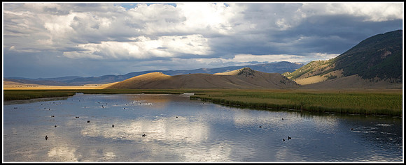 Elk Refuge - Grand Tetons