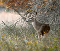 Recent Nature Center Images