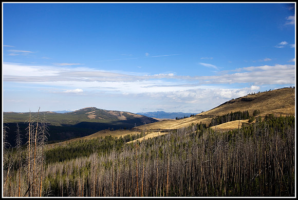 Mommoth Hot Springs Area