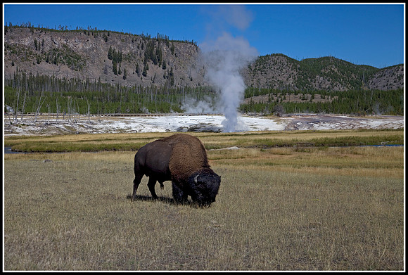 Midway Geyser Basin