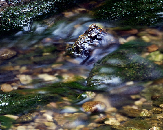 Trinity River Stream