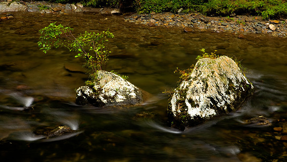 Smoky Mountains National Park