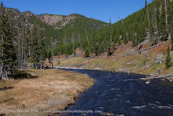 Yellowstones'sGibbon River