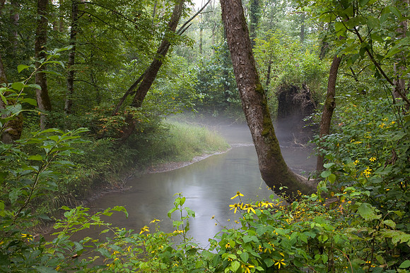 Smoky Mountains National Park